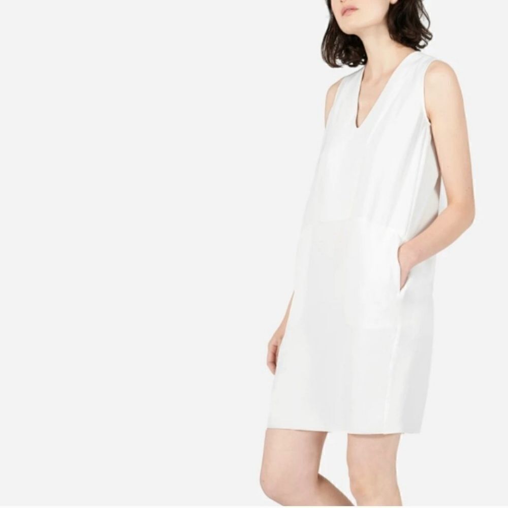 Everlane Japanese Go Weave Sleeveless Dress Size 00